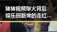 猪猪视频爆火背后：娱乐圈新宠的走红密码