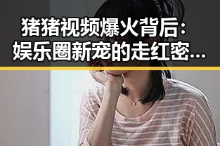猪猪视频爆火背后：娱乐圈新宠的走红密码
