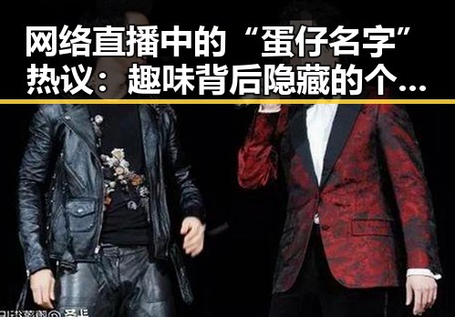 网络直播中的“蛋仔名字”热议：趣味背后隐藏的个性表达