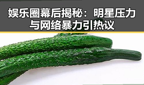 娱乐圈幕后揭秘：明星压力与网络暴力引热议