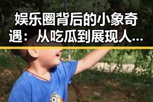 娱乐圈背后的小象奇遇：从吃瓜到展现人性光辉