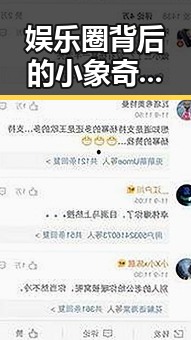 娱乐圈背后的小象奇遇：从吃瓜到展现人性光辉