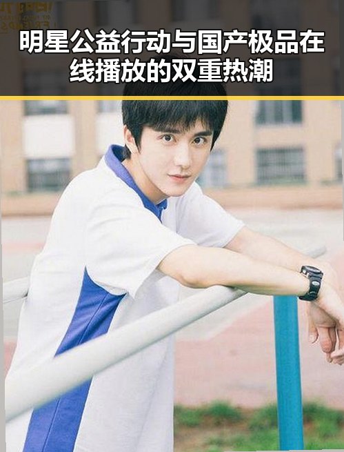 明星公益行动与国产极品在线播放的双重热潮
