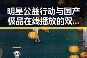 明星公益行动与国产极品在线播放的双重热潮